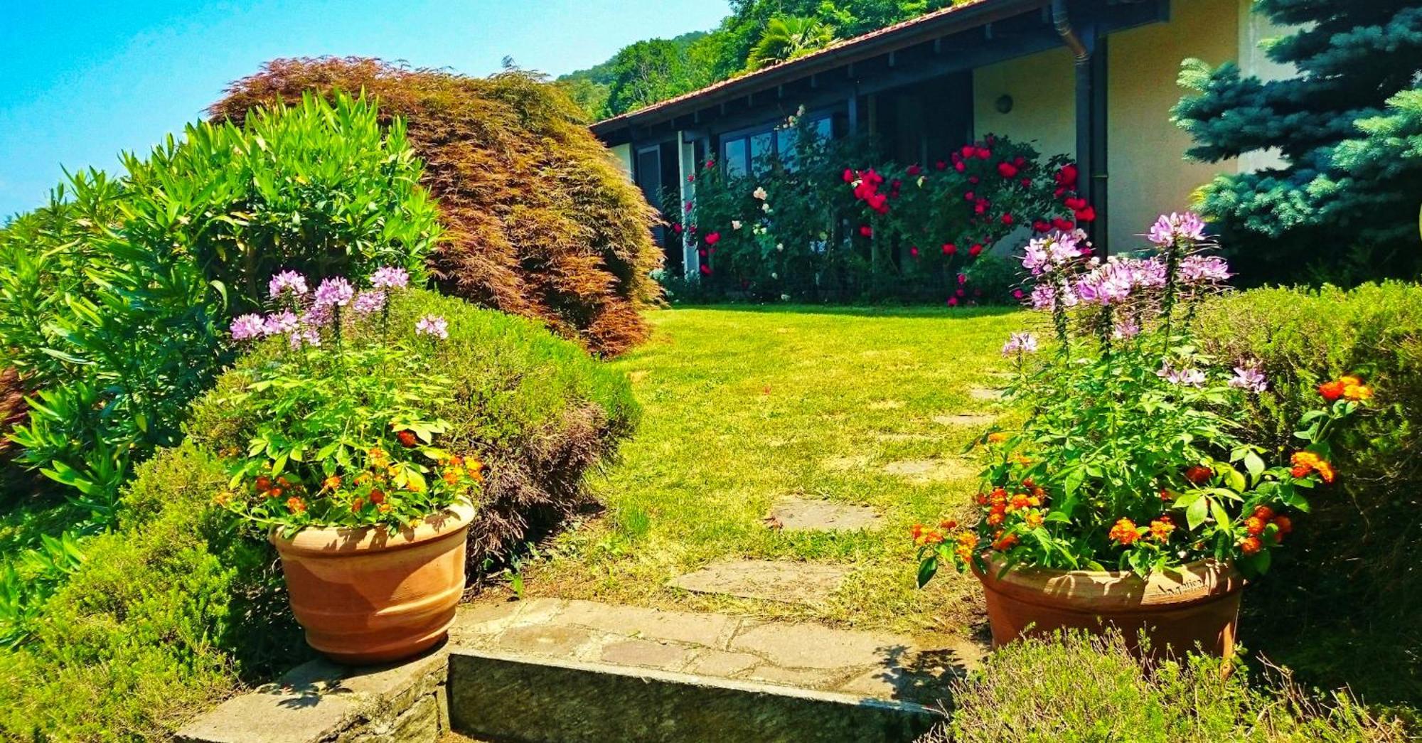Casa Elena Villa Castelveccana Dış mekan fotoğraf